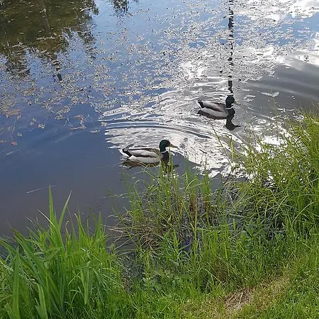 Bellas Namins Feriehus Cēsis